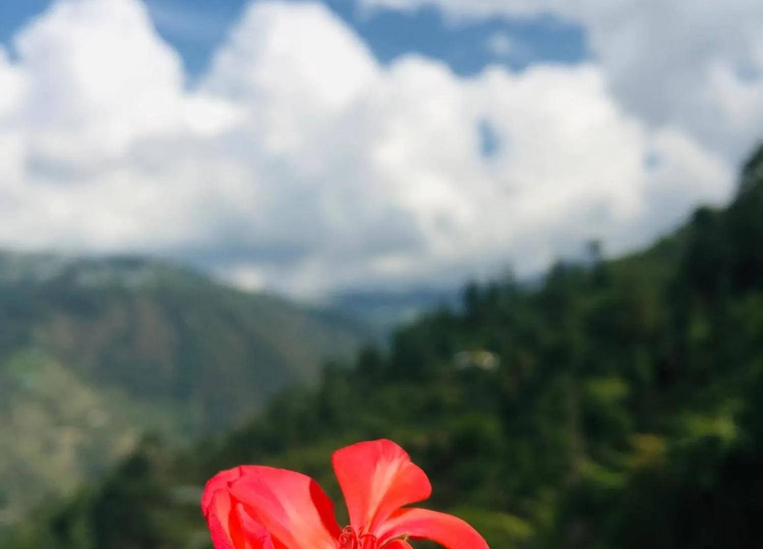 Sunrise View Homestay Shimla India